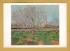 `Orchard in Blossom, Arles by Vincent Van Gogh` - Postally Unused - National Gallery of Scotland Postcard.