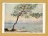 `Cap D`Antibes by Claude Monet` - Postally Unused - The Pallas Gallery Postcard.