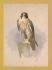 `Peregrine Falcon by Archibald Thorburn` - Postally Unused - J.Arthur Dixon Postcard.