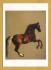 `Whistlejacket by George Stubbs` - Postally Unused - National Gallery Postcard.