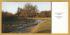 `A Limited Edition Postcard - River Endrick, Fintry`- Postally Unused - Noel Tatt Ltd Postcard.