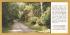 `A Limited Edition Postcard - A Tranquil View of the Woodlands, Woodhall Spa...`- Postally Unused - Noel Tatt Ltd Postcard.