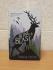 `Being a Beast` - Charles Foster - First UK Edition - First Print - Hardback - Profile Books - 2016