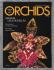 ORCHIDS - July 2007 - Vol.76 No.7 - `Introduction to African Orchids` - American Orchid Society
