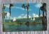 Lake In Florida - Postally Used - Marco FLA ???? ??? Postmark - Plastichrome Postcard