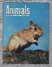 Animals - Vol.2 No.13 - 17 September 1963 - `Kingdom in a Mound` - Purnell and Sons Ltd