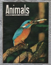 Animals - Vol.2 No.19 - 29 October 1963 - `Voracious Fish of the Amazon` - Purnell and Sons Ltd
