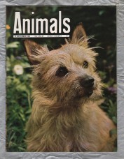 Animals - Vol.2 No.22 - 19 November 1963 - `Life Amid The Coral` - Purnell and Sons Ltd
