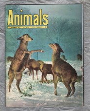 Animals - Vol.2 No.24 - 3 December 1963 - `Queen Bee` - Purnell and Sons Ltd