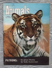 Animals - Vol.1 No.6 - 12 February 1963 - `The Tiger` - Purnell and Sons Ltd