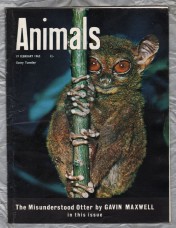 Animals - Vol.1 No.7 - 19 February 1963 - `The Tarsier` - Purnell and Sons Ltd