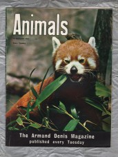 Animals - Vol.1 No.8 - 26 February 1963 - `The Lesser Panda` - Purnell and Sons Ltd