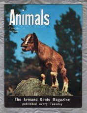 Animals - Vol.1 No.10 - 12 March 1963 - `Domestic Dwarf Goat of Southern West Africa` - Purnell and Sons Ltd