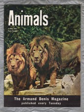 Animals - Vol.1 No.13 - 2 April 1963 - `Lions` - Purnell and Sons Ltd