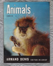 Animals - Vol.1 No.2 - 15 January 1963 - `The Patas or Hussar Monkey` - Purnell and Sons Ltd