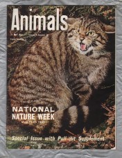 Animals - Vol.1 No.20 - 21 May 1963 - `The Persecution of Scotland`s Rarest Bird` - Purnell and Sons Ltd