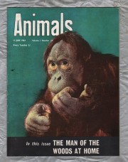 Animals - Vol.1 No.23 - 11 June 1963 - `The Man Of The Woods At Home (Orang-Utan)` - Purnell and Sons Ltd