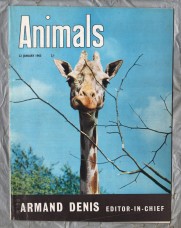 Animals - Vol.1 No.3 - 22 January 1963 - `Giraffes` - Purnell and Sons Ltd