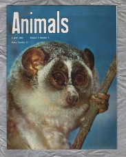 Animals - Vol.2 No.2 - 2 July 1963 - `The Aardwolf` - Purnell and Sons Ltd