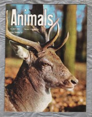 Animals - Vol.2 No.4 - 16 July 1963 - `Gecko` - Purnell and Sons Ltd