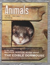 Animals - Vol.2 No.5 - 23 July 1963 - `The Edible Dormouse` - Purnell and Sons Ltd
