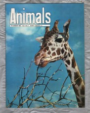 Animals - Vol.2 No.9 - 20 August 1963 - `Hover-Flies` - Purnell and Sons Ltd