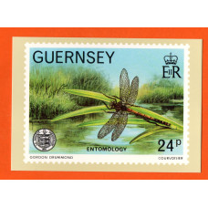 Bailiwick Of Guernsey - PHQ Card - April 1982 - 24p Entomology/Europa Issue - Unused