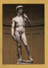 `Florence - Accademia Gallery - Michelangelo: David` - Postally Unused - OVET Postcard.