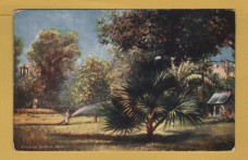 `Picturesque Egypt - `Esbekiah Garden, Cairo` - Oilette - 7202` - Postally Unused - Raphael Tuck & Sons Postcard.