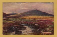 `Dartmoor - Series ll - `Dartmoor, The Lyd, near Lydford` - Oilette - 7633` - Postally Unused - Raphael Tuck & Sons Postcard.