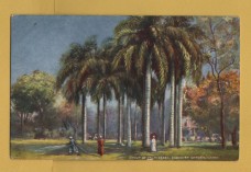`Picturesque Egypt - `Group of Palm Trees, Esbekieh Garden, Cairo` - Oilette - 7202` - Postally Unused - Raphael Tuck & Sons Postcard.