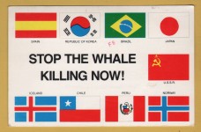 `STOP THE WHALE KILLING NOW!` - Postally Used - Protest Postcard.