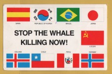 `STOP THE WHALE KILLING NOW!` - Postally Used - Protest Postcard.