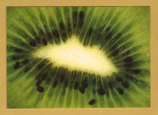 `Kiwi Fruit` - Postally Unused - Boomerang Media Postcard.