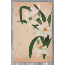 Hand Painted Flower Postcard - Postally Unused - Undivided Back - Victorian