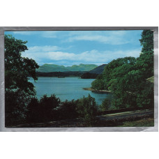 `Windermere from Low Wood` - Cumbria - Postally Unused - H.Webster Postcard