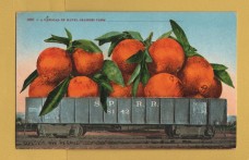 `1881-A Carload of Naval Oranges From _______ - The Northern California Citrus Fair` - Postally Unused - Edward H.Mitchell Postcard.