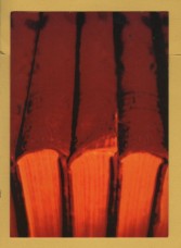 `Richard Jenkins - Photographer` - Postally Unused - Boomerang Media Postcard.