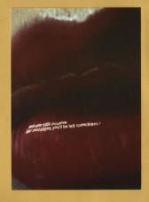 `With over 1000 inclusive text messages, you`ll be left speechless. - Orange` - Postally Unused - Boomerang Media Postcard.