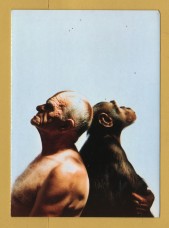 `Can you explain the theory of evolution?, Those who can, teach` - Postally Unused - Boomerang Media Postcard.