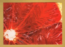 `No Title` - Postally Unused - Boomerang Media Postcard.