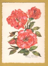 `Plant - Garden Rose by Anna Maria Schwarz-Torinus`` - Postally Unused - Edition Korsch Postcard.