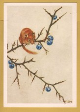 `Haselmaus by Hans Lang` - Postally Unused - Hans Lang Postcard.