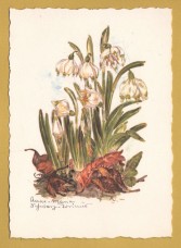 `Plant - Marchcup by Anna Maria Schwarz-Torinus` - Postally Unused - Edition Korsch Postcard.