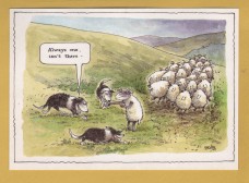 `Always One, Isn`t There...` - Postally Unused - J.Arthur Dixon Postcard