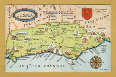 `Sussex` - Postally Used-1982 - J.Salmon Postcard `Sussex` - Postally Used-1982 - J.Salmon Postcard