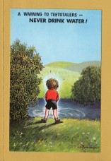 `A Warning To Teetotalers....Comic Series 2034` - Postally Unused - Bamford & Co Ltd Postcard