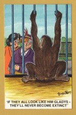 `If They All Look Like Him Gladys....`Comic Series` 2028` - Postally Unused - Bamford & Co Ltd Postcard