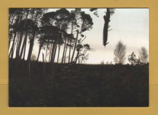 `Newlyn Art Gallery & The Exchange - Winter Print Fair 2015/16`- Postally Unused - Gallery Postcard.