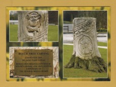`Beech Tree Carving - Humber Bridge North Bank Viewing Area`- Postally Unused - Lee Beel Postcard.